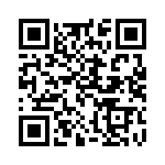 300100140551 QRCode