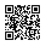 300100470029 QRCode