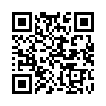 300400280068 QRCode