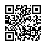 300400520040 QRCode