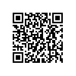 300AWSP1J1BLKM6RE QRCode