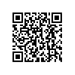 300AWSP4J2BLKVS2RE QRCode