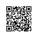 300AWSP4J2WHTM1QE QRCode
