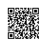 300DP1J1BLKVS2QE QRCode