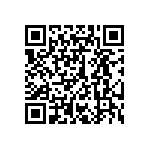 300DP1J1GRYVS2QE QRCode