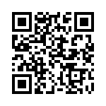 300X10909X QRCode