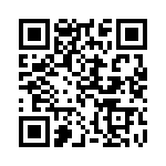 300X10929X QRCode