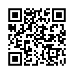 300X11059X QRCode