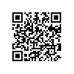 3013W3PAM99A20X QRCode