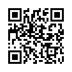 30393-3 QRCode