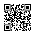 3042133 QRCode