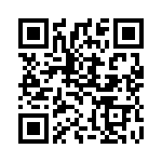 3073827 QRCode