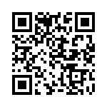 3094-333GS QRCode