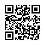 3106-00451523 QRCode