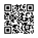 3106U00030175 QRCode