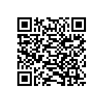 311-83-123-41-001101 QRCode