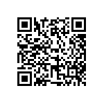 316-87-112-41-013101 QRCode