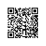 317-87-113-41-022101 QRCode