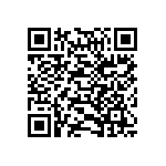 317-87-125-41-005101 QRCode