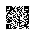 317-87-133-41-005101 QRCode