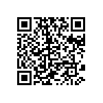 317-87-133-41-022101 QRCode