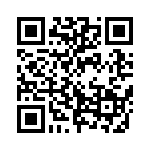 333PSB202K2G QRCode