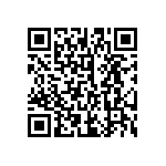 33TS3004S-101002 QRCode