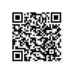 345-062-527-804 QRCode