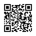 345LB3I1555T QRCode