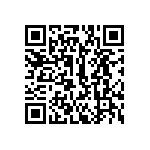 346-93-160-41-013000 QRCode