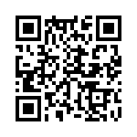 353NB3A135T QRCode