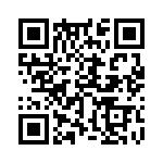 353NB3I307T QRCode