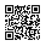 353NB3I388T QRCode