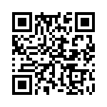 353NB3I491T QRCode