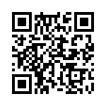 353NB3I742T QRCode