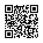 353NB5A480T QRCode