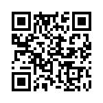 353NB5C163T QRCode