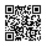 353NB5I135T QRCode