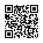 353NB5I163T QRCode