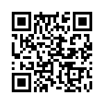 353NB5I250T QRCode