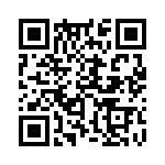 353NB5I307T QRCode