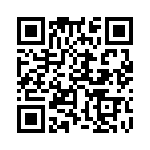 353NB5I384R QRCode