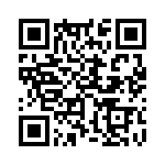 353NB5I655T QRCode