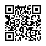 353NB6A100T QRCode