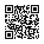353SB5C491T QRCode