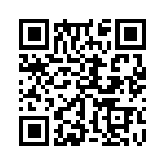 353TB3A250T QRCode