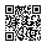 353TB3A307T QRCode