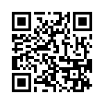 353TB3I250T QRCode