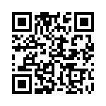 353TB5I163R QRCode