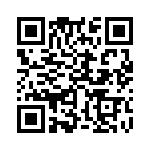 353TB5I250R QRCode